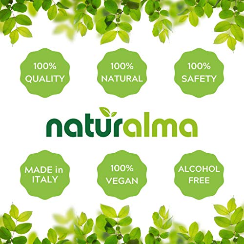 Lemon Balm (Melissa officinalis) Leaves Alcohol-Free Mother Tincture Naturalma | Liquid Extract Drops 120 ml | Food Supplement | Vegan