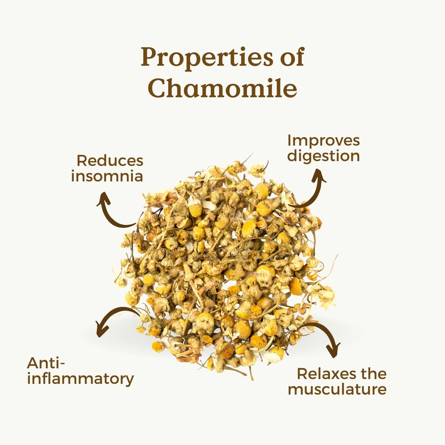 Chamomile Tea Loose Organic 100g (50 Cups) | European Chamomile Flowers, Clean and Dried REPLANTEA