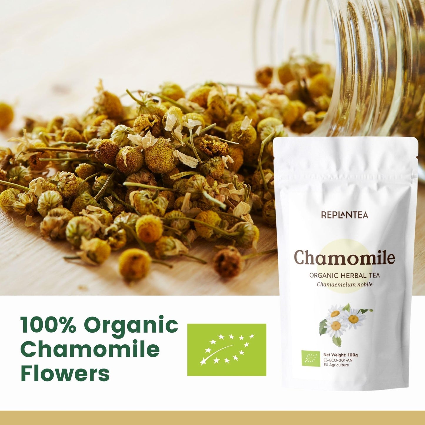Chamomile Tea Loose Organic 100g (50 Cups) | European Chamomile Flowers, Clean and Dried REPLANTEA